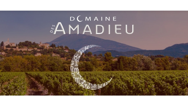 DOMAINE DES AMADIEU