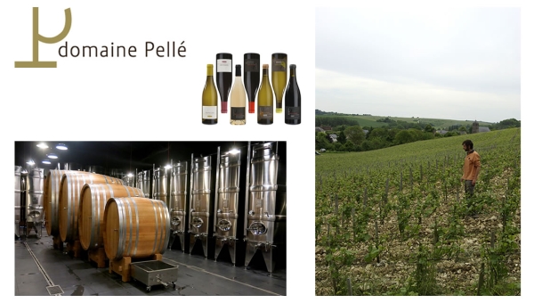 DOMAINE PELLE