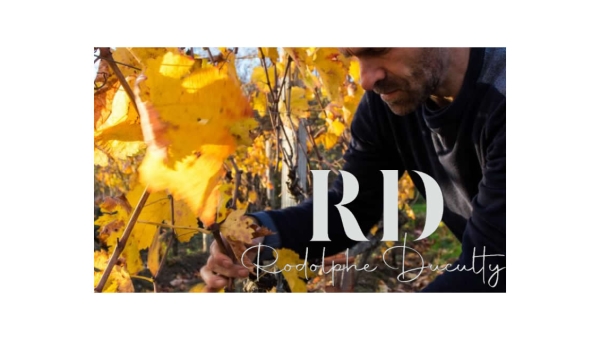 Rodolphe Duculty, vigneron en appellation Saint-Joseph